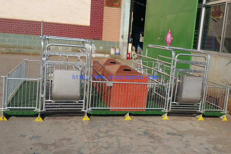 Pig Farrowing stall 22