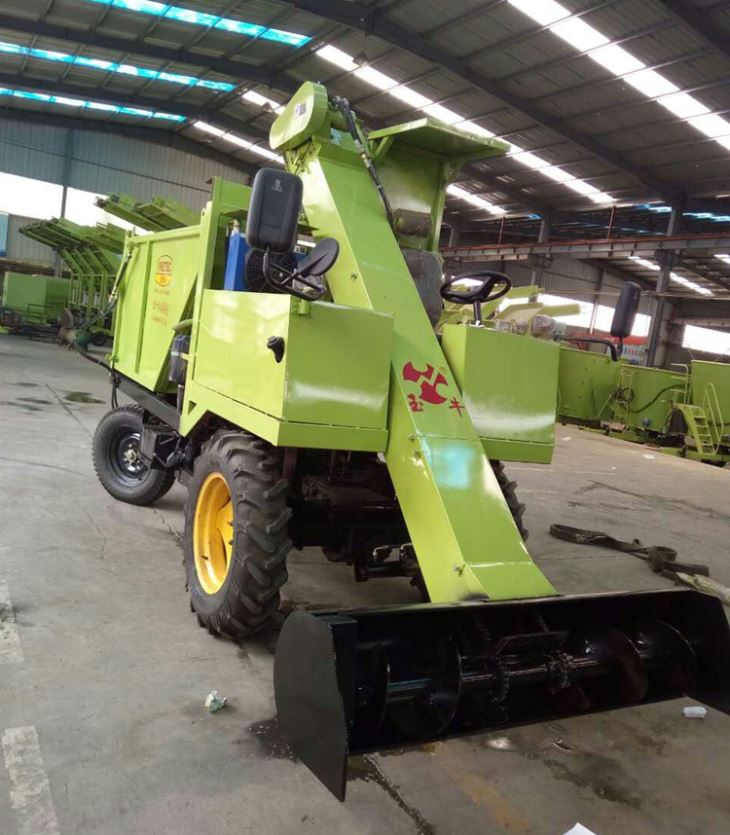Cow Dung Cleaning Car
