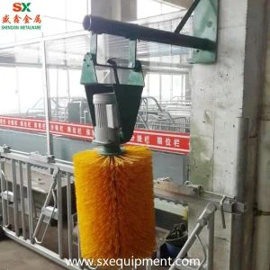 แปรงขจัดคราบวัวควาย