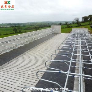 คอกวัวฟรีคอกวัว